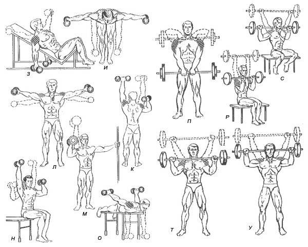 Накачать плечи мужчине. Упражнения на дельты в тренажерном зале для мужчин. Упражнения на дельтовимышцы в тренажерном зале для мужчин. Упражнения на дельтовидные мышцы в тренажерном зале. Упражнения на дельтовидные мышцы с гантелями.