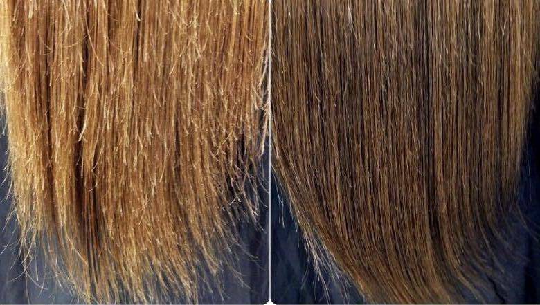 Сухие тонкие волосы: что делать, если они стали ломкими, средства-регенераторы, а также выбор расчески