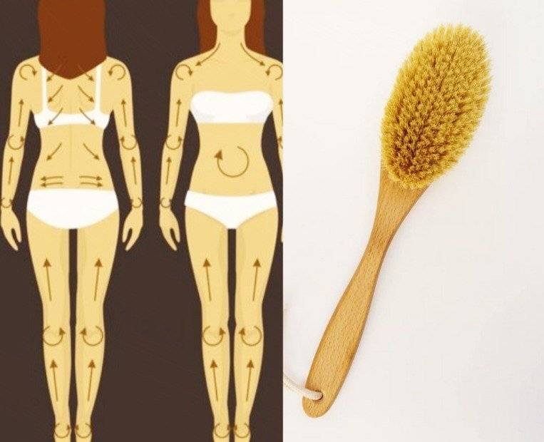 Как правильно делать массаж сухой щеткой от целлюлита: схемы, фото