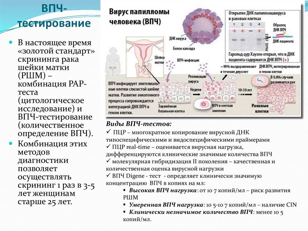 Онкогенный вирус папилломы. Вирус папилломы ВПЧ 16 типа. Выявление вируса папилломы человека. Тестирование вируса папилломы. ВПЧ тест.