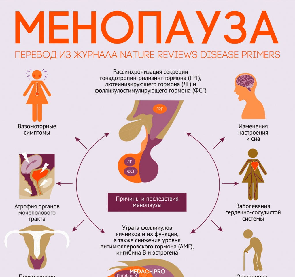 Пила чтобы забеременеть. Климактерический синдром симптомы. Климакс. Менопауза-это у женщин. Когда наступает менопаузы у женщин.