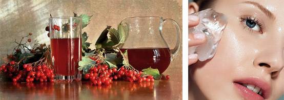 Маска из калины для лица от морщин: отзывы о простом рецепте, рекомендации по применению в домашних условиях