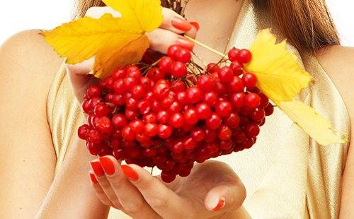 Маска для лица из калины - рецепты от прыщей и морщин