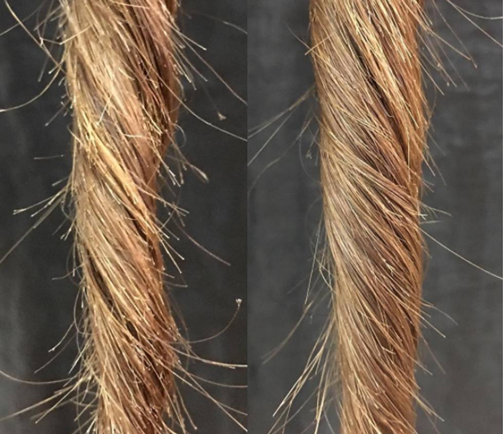 Что следует делать если кончики волос сухие?