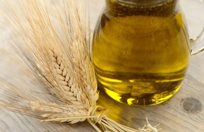 Масло зародышей пшеницы: польза и вред, применение в лечении и косметологии