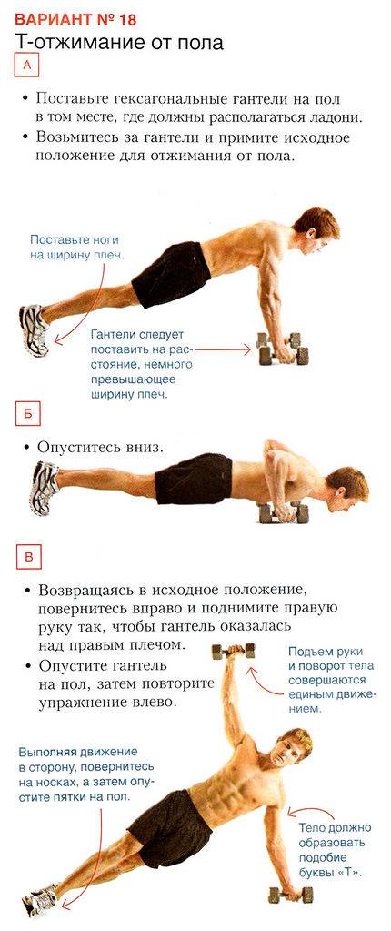 Программа отжиманий от пола: техника и советы для начинающих