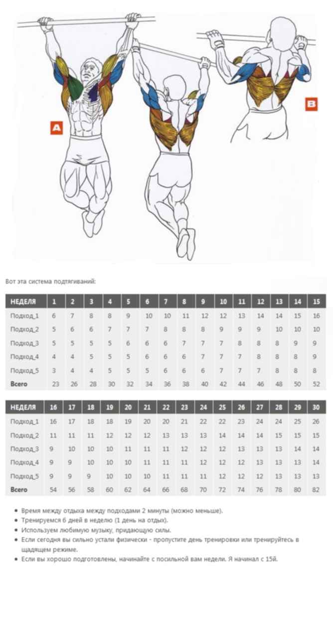 Количество подтягиваний на турнике. Подтягивания схема тренировок. График подтягиваний на турнике с нуля. Программа подтягиваний на турнике с нуля таблица. Схема тренировок на турнике для увеличения количества подтягиваний.