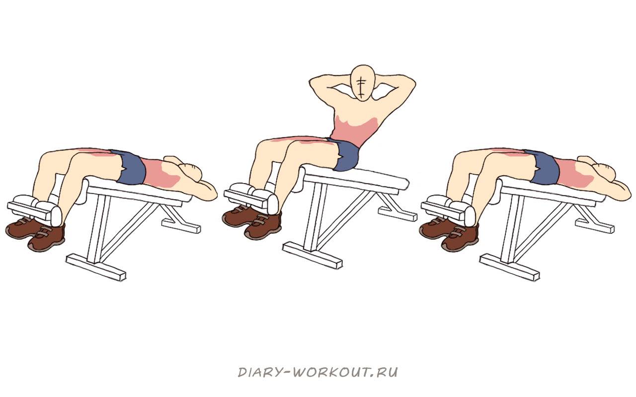 Скручивания на пресс: виды и техника выполнения упражнений