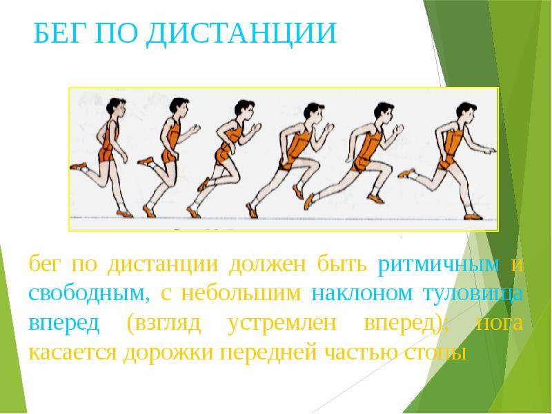 Виды и основные этапы бега подпиши изображения