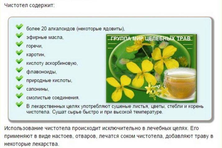 Как пить чистотел для очистки организма: рецепты отваров