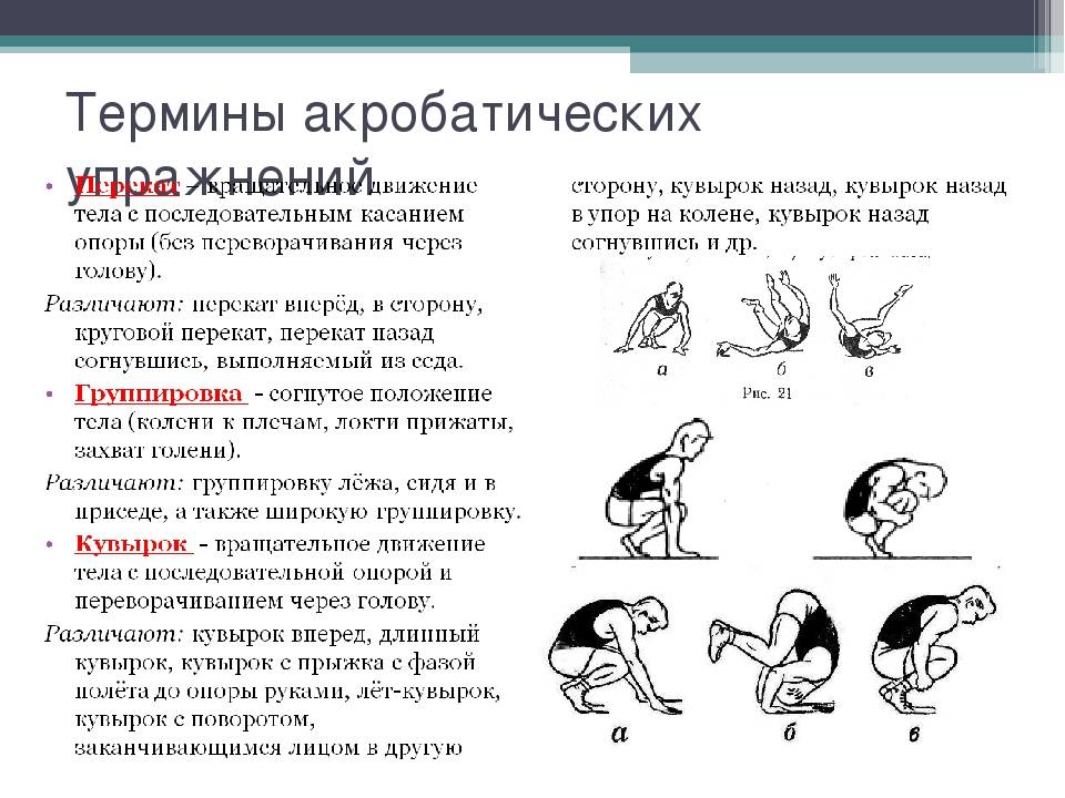 Какие элементы в гимнастике. Терминология гимнастических упражнений по гимнастике. Схема классификации акробатических упражнений. Термины акробатических упражнений в гимнастике. Акробатические упражнения названия.