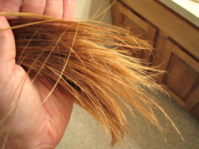 Почему секутся кончики волос: что делать для лечения