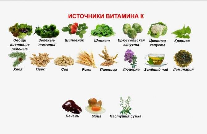 Витамин k продукты. Витамин а содержится в продуктах. Продукты содержащие витамин с. Содержание витамина с в продуктах. Продукты с высоким содержанием витамина с.