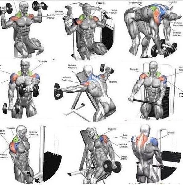 10 упражнений для спины, эффективность которых подтверждена учёными - лайфхакер