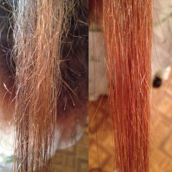 По всей длине секущиеся волосы: как убрать в домашних условиях