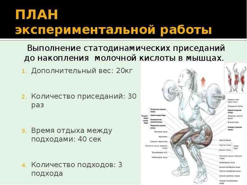 Какая жидкость в мышцах. Молочная кислота в мышцах. Молочная кислота в Мышха. Влияние молочной кислоты на мышцы. Как образуется молочная кислота в мышцах.