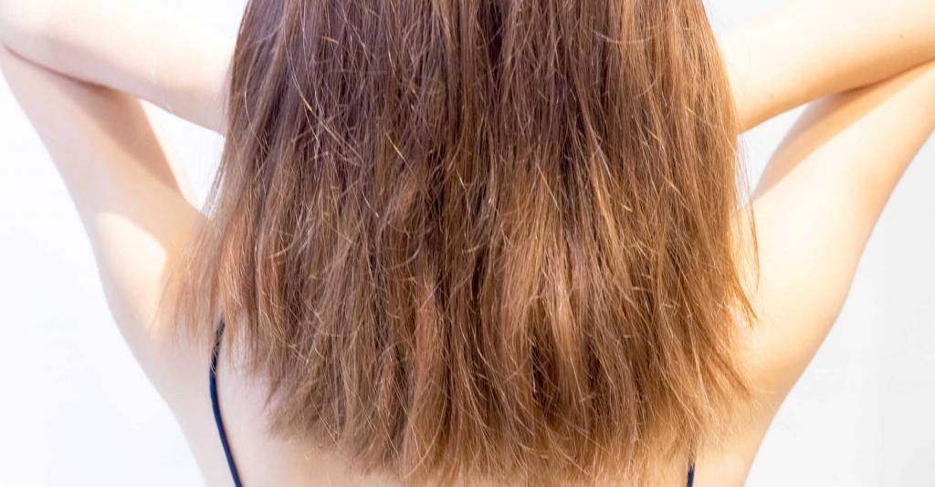 Секущиеся волосы: как избавиться от сухих, поврежденных прядей, что собой представляет процедура полировка, а также как понять, чего не хватает локонам и фото проблемы