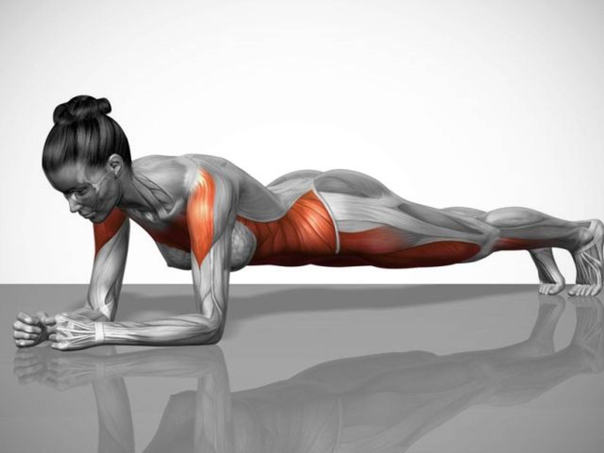 Статическое упражнение на мышцы живота и спины. Планка упражнение мышцы задействованные. Планка (Plank):. Чатуранга дандасана анатомия. Планка статическое упражнение.