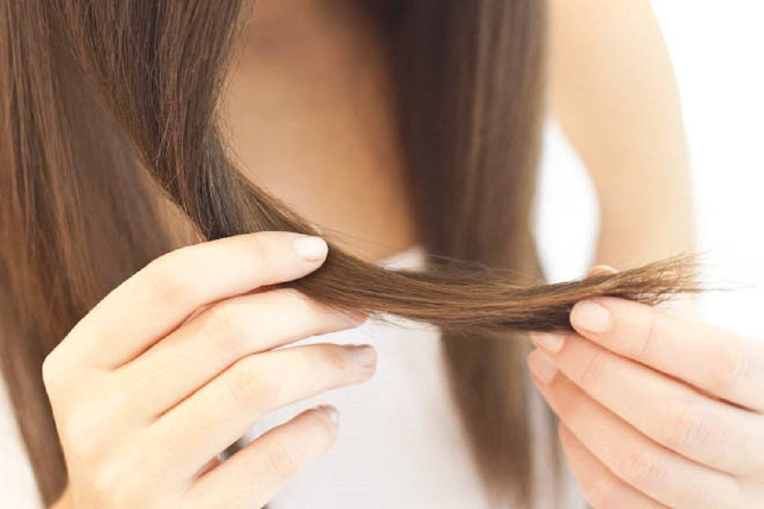 Сухие кончики волос: лечение в домашних условиях