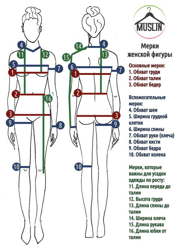 Как рисовать талию