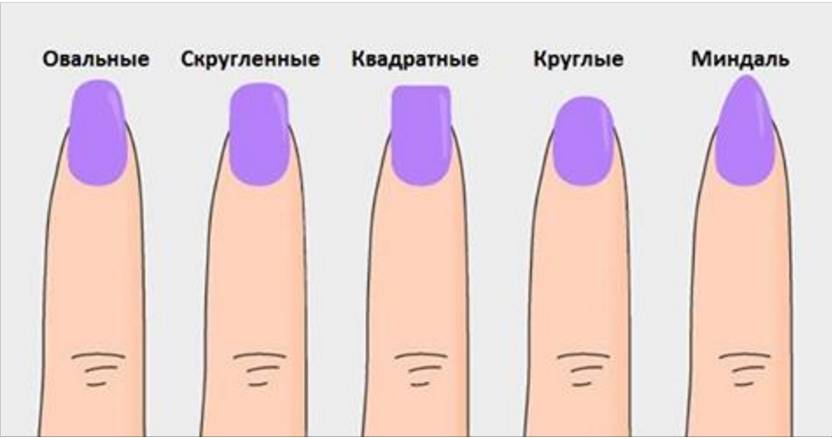 Какой цвет удлиняет. Формы ногтей. Формы ногтей и название. Форма ногтей для маникюра. Форма ногтей разновидности.