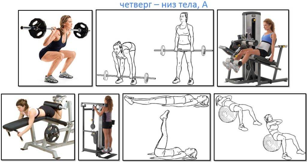 Упражнения для тренировки на ноги и ягодицы, которые необходимо выполнять в тренажерном зале девушкам | rulebody.ru — правила тела