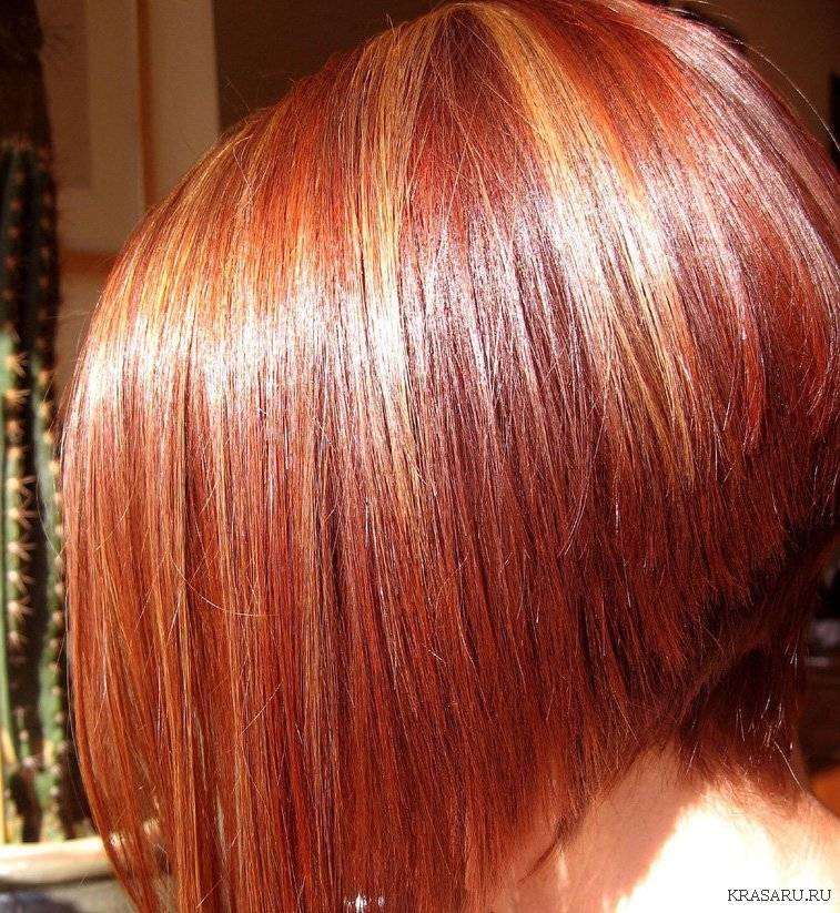Красно-черные волосы: особенности и способы окрашивания
