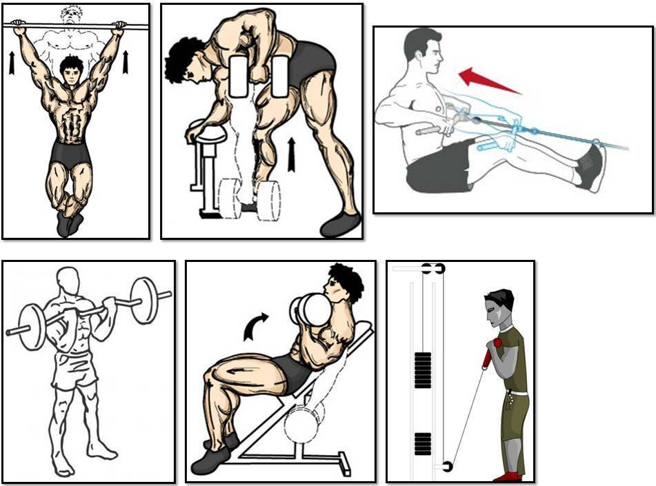 Бицепс тренировка в зале для мужчин. План тренировки спина трицепс. План тренировки на бицепс и трицепс в тренажерном зале. Упражнения с гантелями на бицепс трицепс и грудные мышцы. Упражнения на трицепс в тренажерном зале.