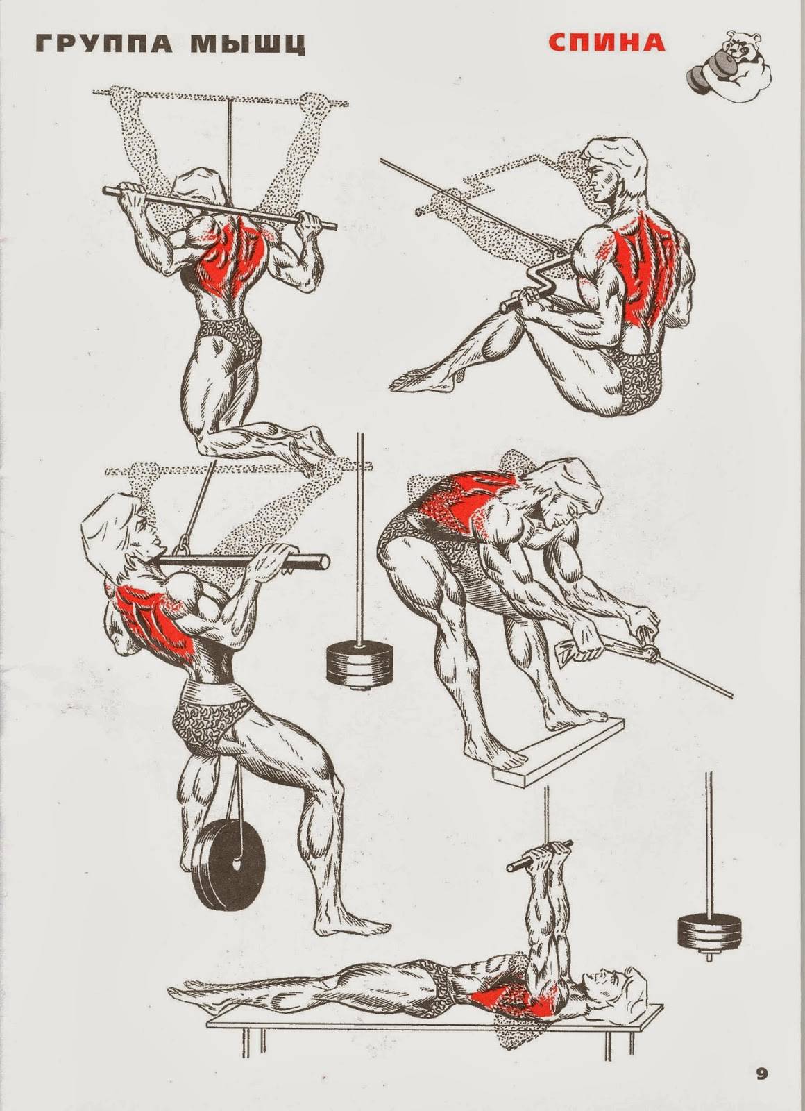 Как правильно прокачать игру. Упражнения для тренировки мышц спины в тренажерном зале. Упражнения для прокачки мышц спины. Базовые упражнения на спину в тренажерном зале. Упражнения на спину в тренажерном зале для мужчин.