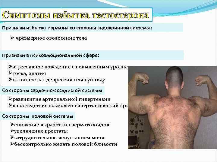 «это у вас гормоны!» как на самом деле влияют на поведение и здоровье женщин гормональный фон и его нарушения