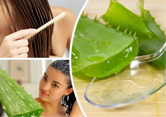 » 8 лучших рецептов масок для волос в домашних условиях: от выпадения и роста волос