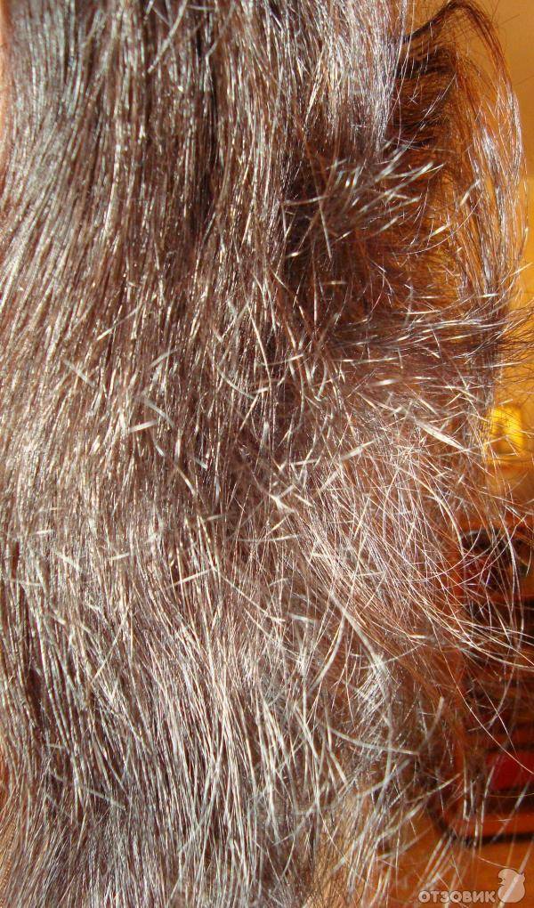 Сухие кончики волос: причины и лечение в домашних условиях