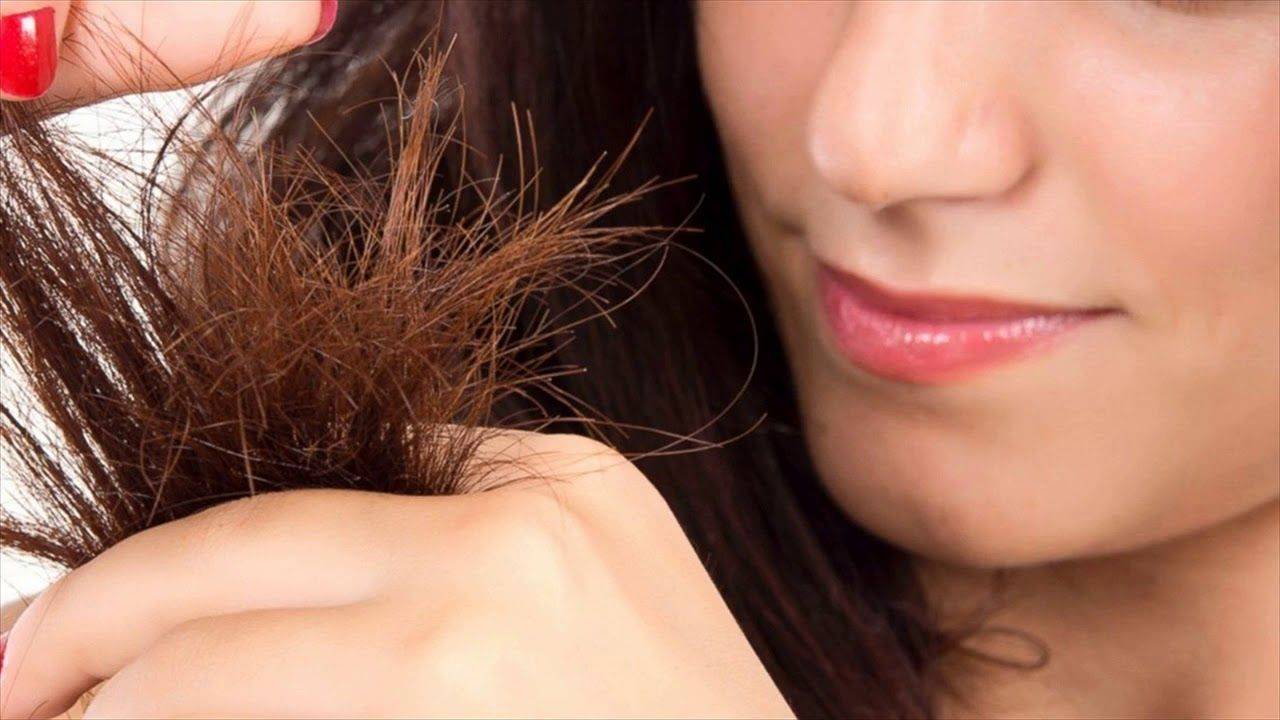 Как избавиться от секущихся кончиков волос: уход и лечение