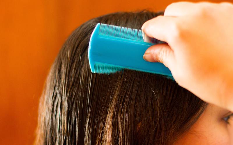 Как защитить свои волосы от вшей