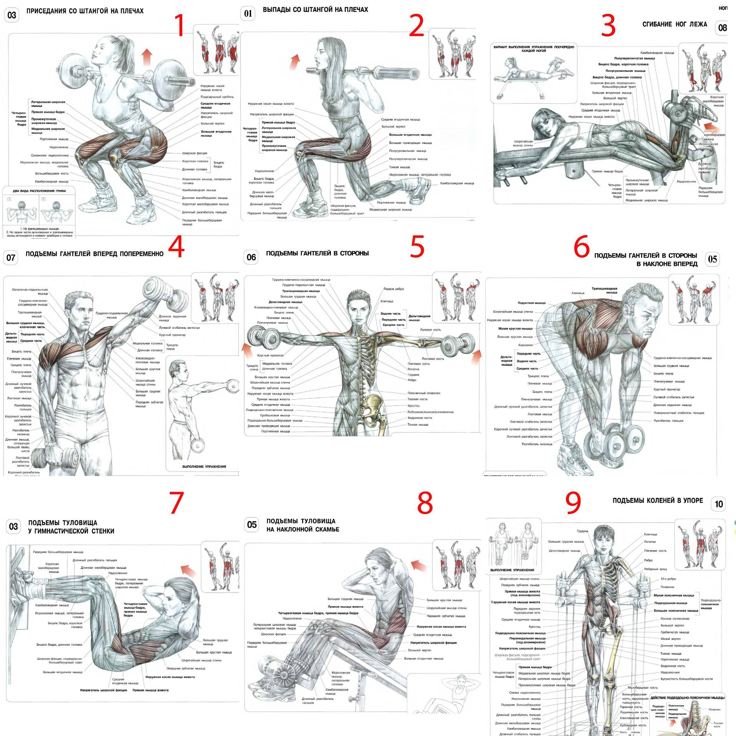 Как накачать объемные грудные мышцы мужчине в тренажерном зале