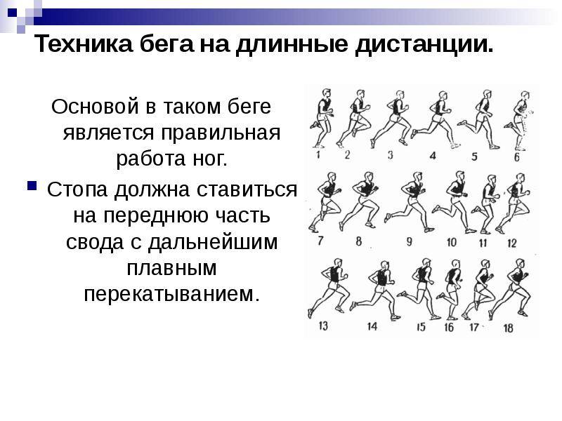 Бег с барьерами: дистанции, техника, правила