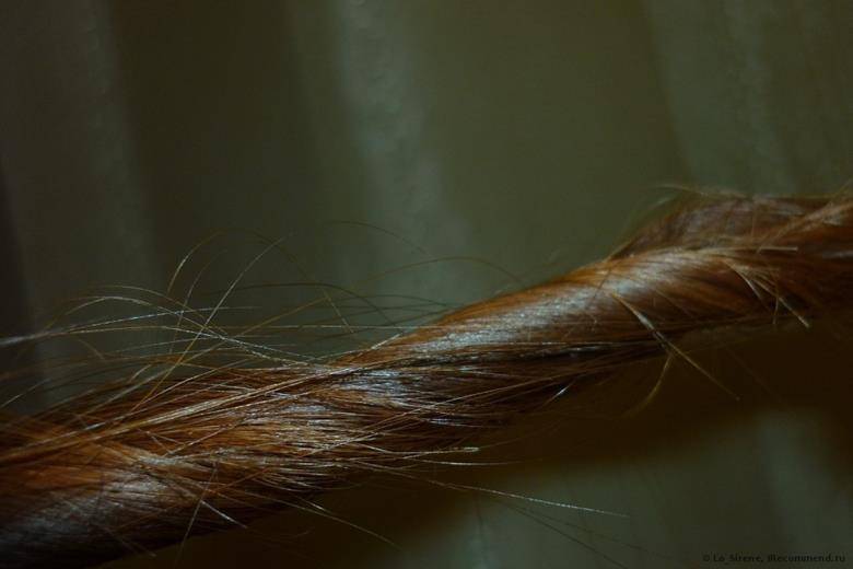 Ваши волосы секутся и сильно ломаются по всей длине? расскажем, что делать в домашних условиях!