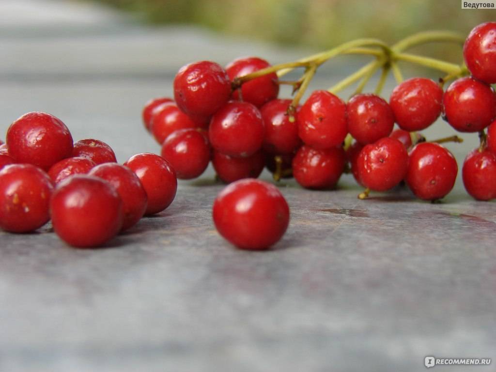 Маска для лица из калины, отзывы