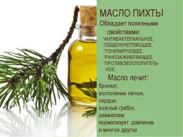 Лечебные свойства масла пихты, применение и противопоказания