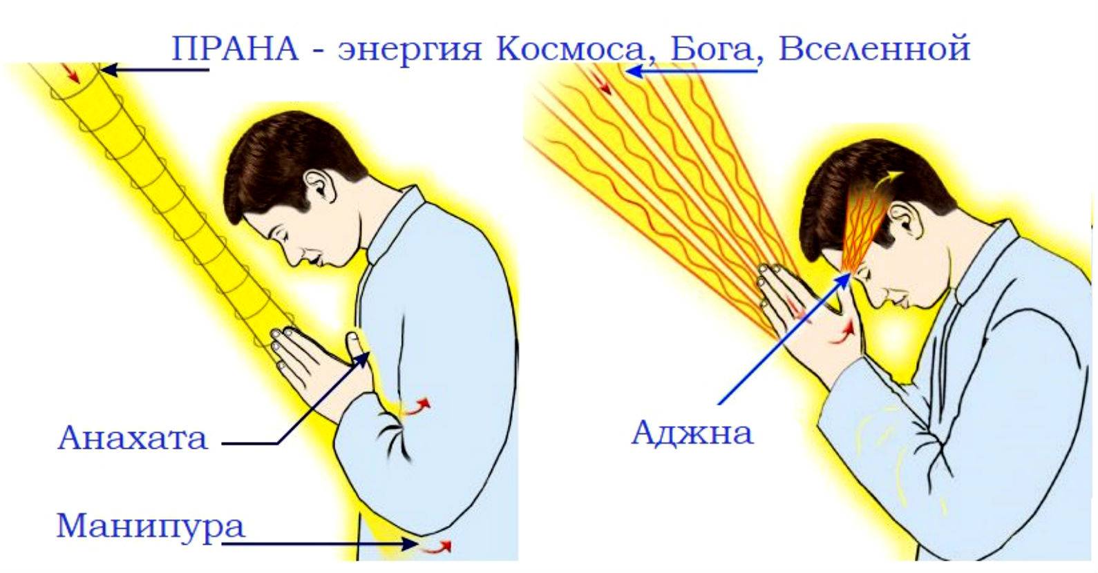 Искусственные приборы картины учебники и естественные натуральные объекты препараты гербарии