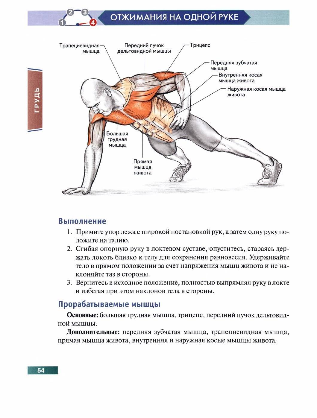 какие отжимания лучше всего для груди фото 44