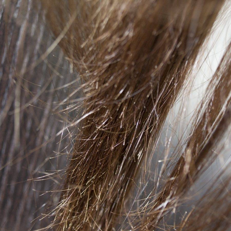 Сухие кончики волос - что делать? как увлажнить концы волос | волосок