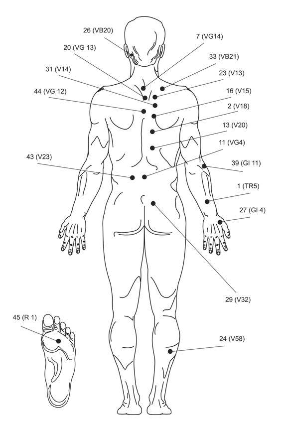 Точки на спине для массажа: что такое акупрессурные точки, схемы их расположения на теле, кому рекомендовано такое точечное воздействие