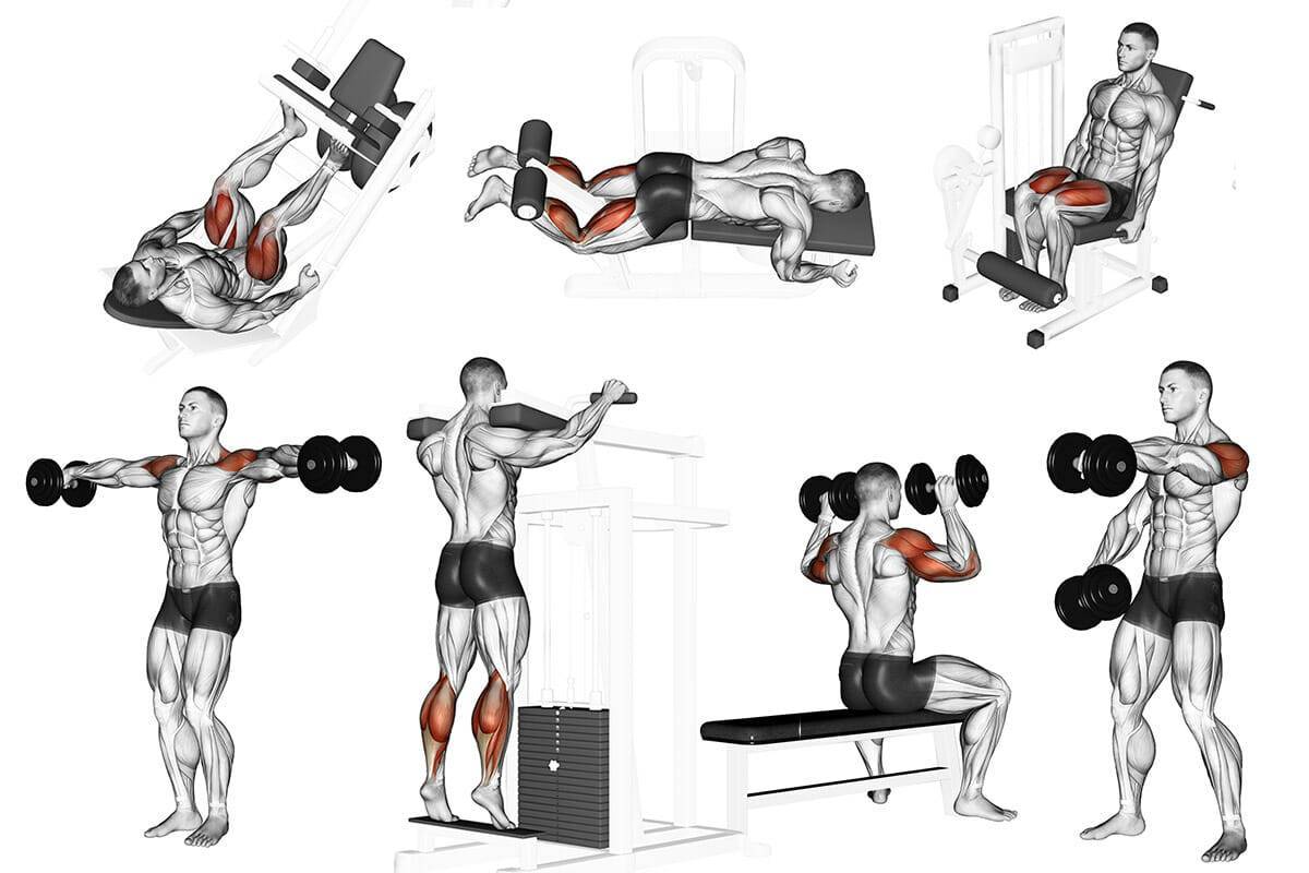 Работа с гантелями. Упражнения на дельтовидные мышцы с гантелями. Упражнения для дельтовидных мышц в тренажерном зале для мужчин. Базовые упражнения на плечи в тренажерном зале для мужчин. Упражнения для плечей с гантелями.