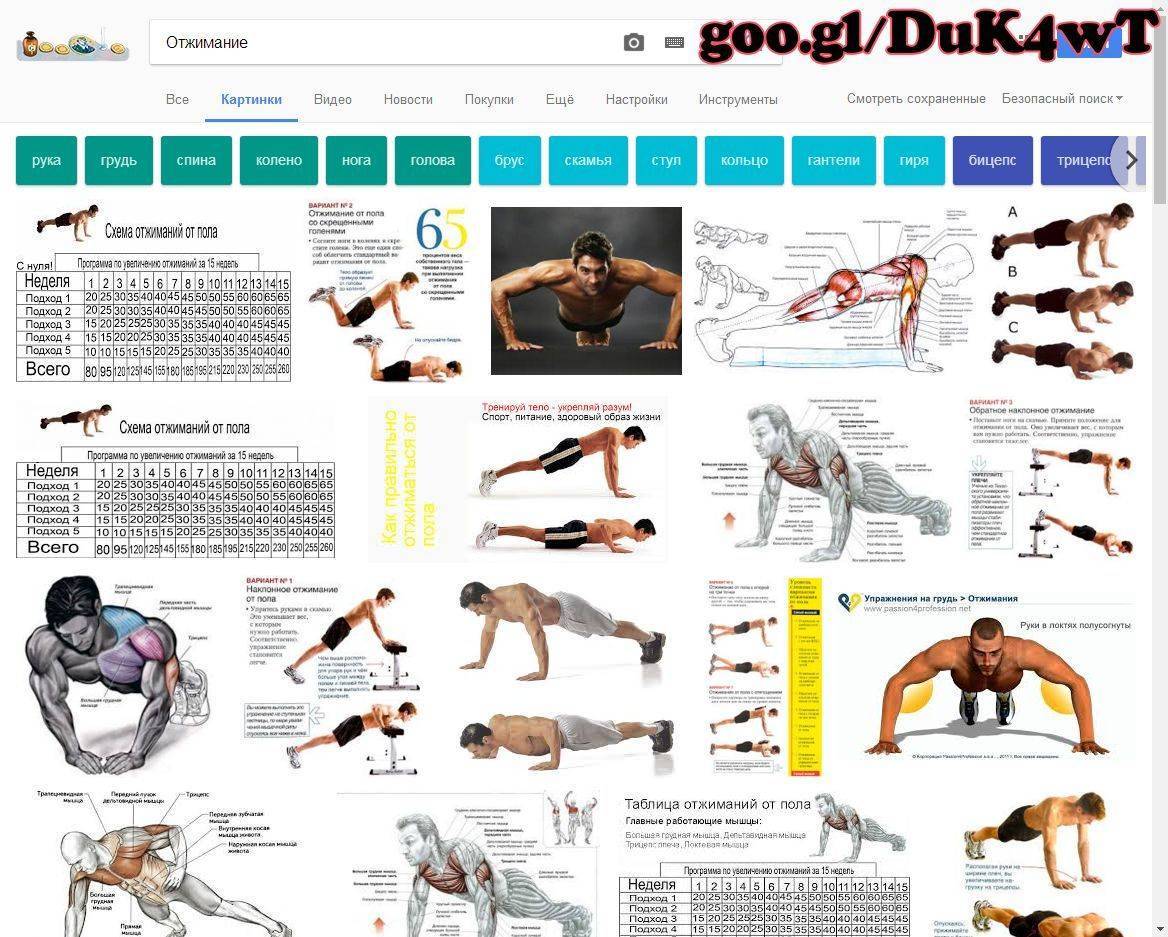 Основные отжимания. Схема прокачки грудных мышц отжиманиями. Упражнения на грудные мышцы отжиманиями. Тренировка на грудные мышцы дома для мужчин. Упражнения на грудь дома отжимания.