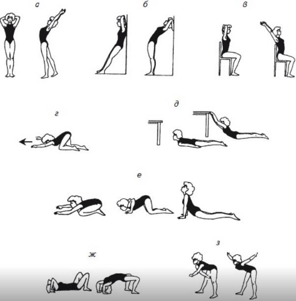 Топ-23 упражнения для спины в домашних условиях (фото)