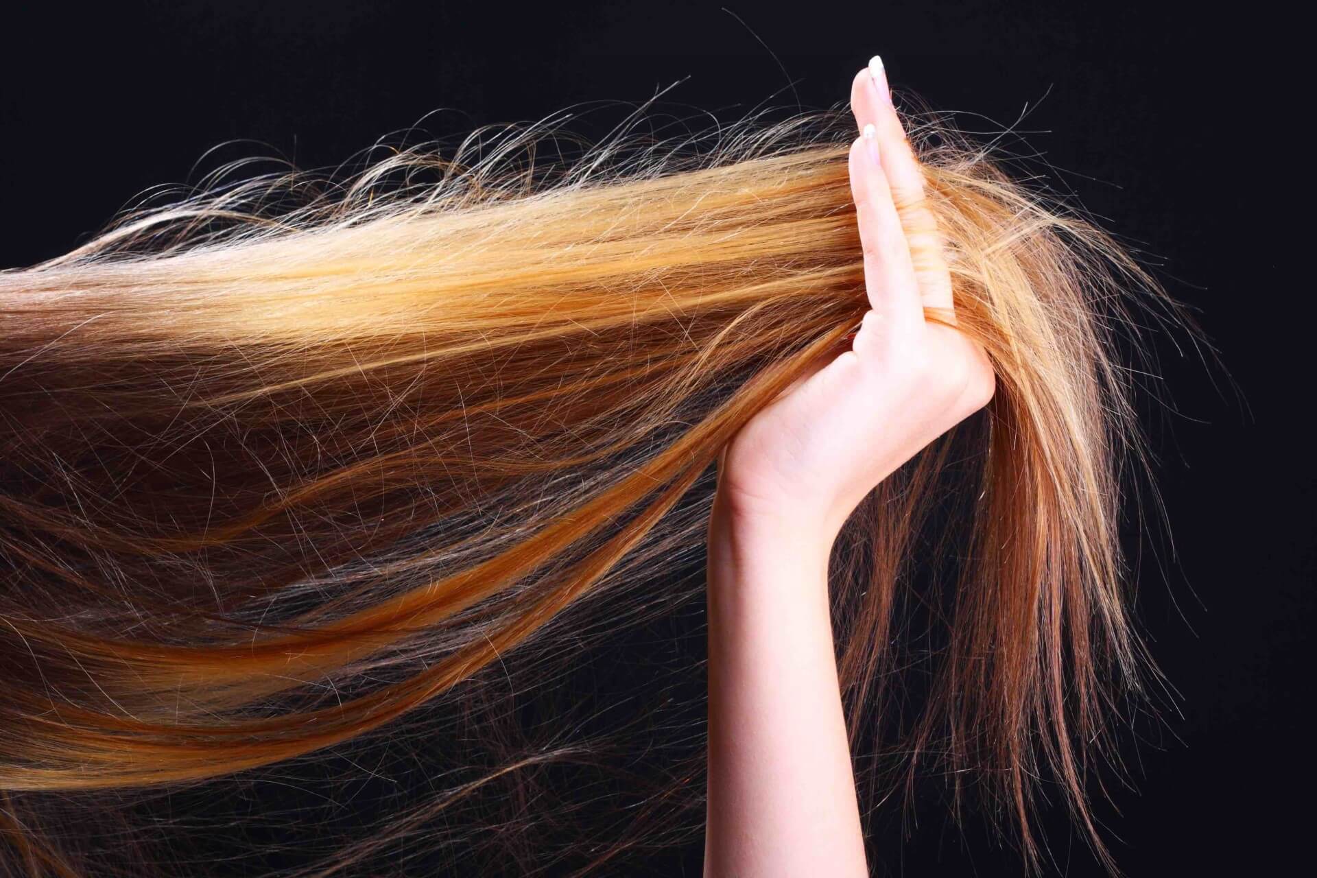 Сухие кончики волос. избавляемся и предотвращаем появление