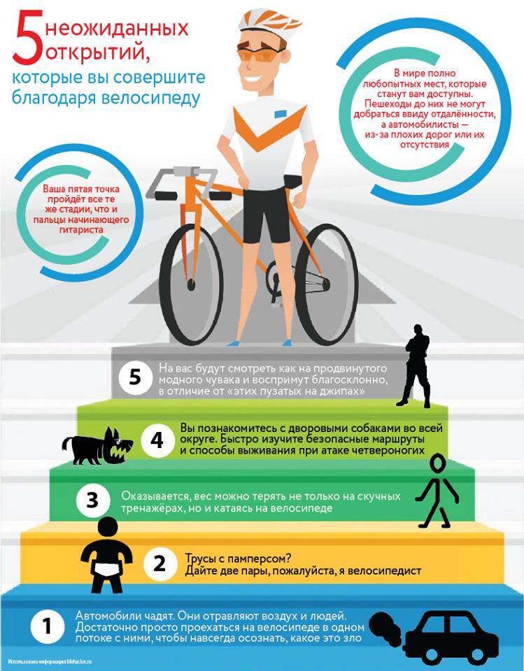 Велосипед польза и вред для мужчин. Инфографика велосипед. Велосипед и здоровье. Польза велосипеда. Езда на велосипеде польза.