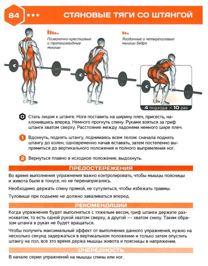 Становая тяга на прямых ногах со штангой техника выполнения