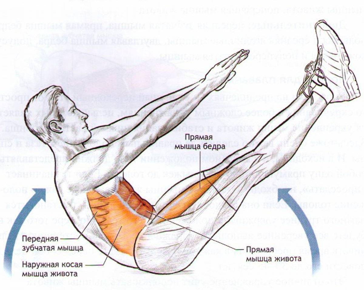 Средняя часть живота. Упражнения для пресса. Упражнения для мышц живота. Мышцы задействованные при подъеме ног. Упражнения на брюшной пресс.